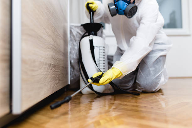 Best Bed Bug Extermination  in Chillum, MD