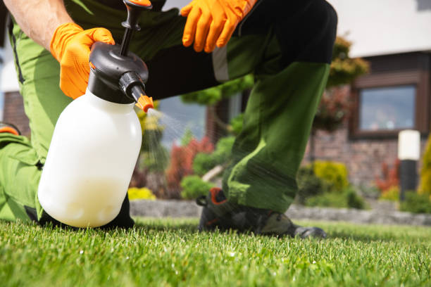 Pest Prevention Services in Chillum, MD