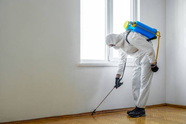 Pest Control Cost in Chillum, MD